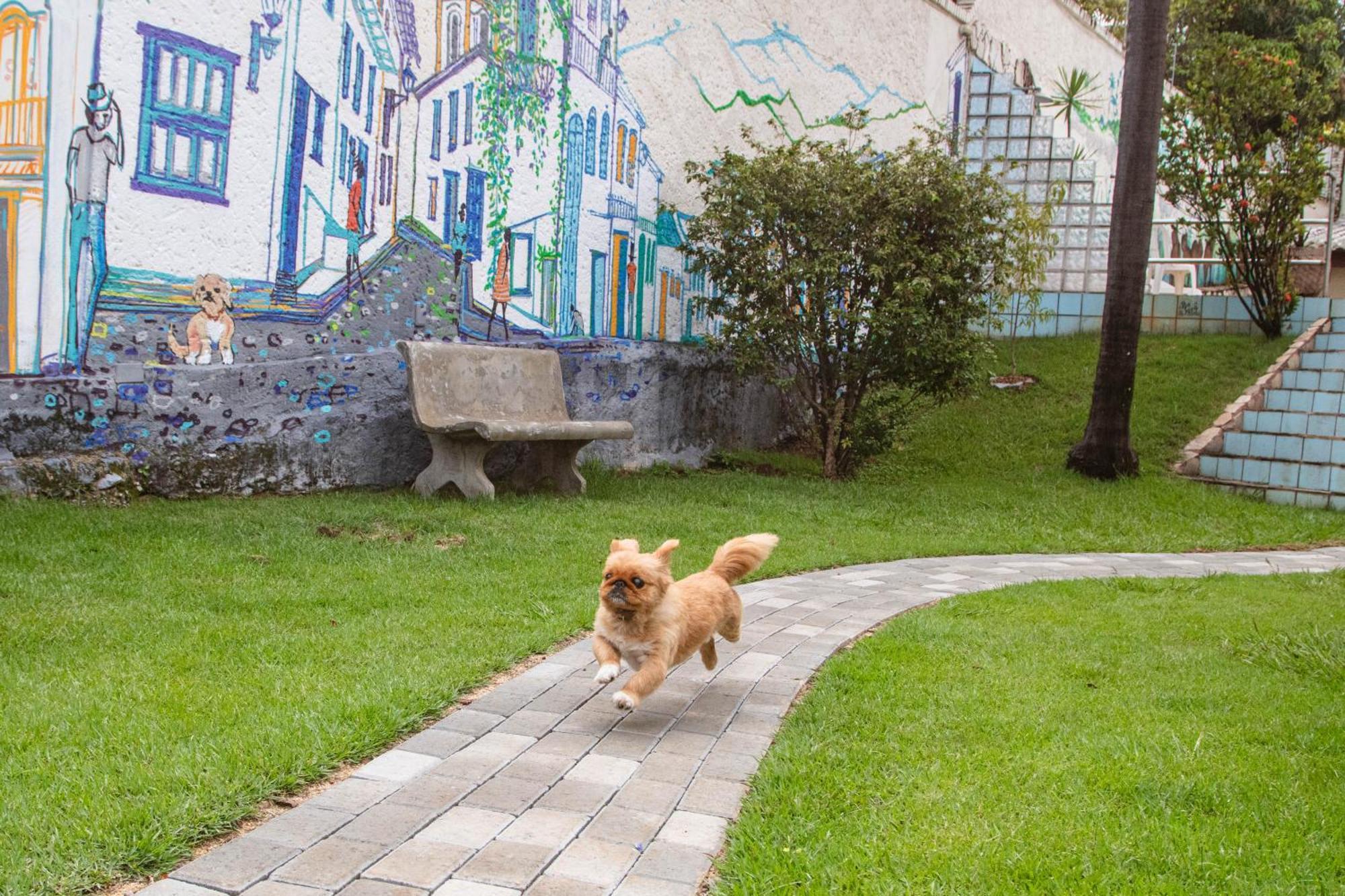 Woods Hostel 贝洛哈里桑塔 外观 照片